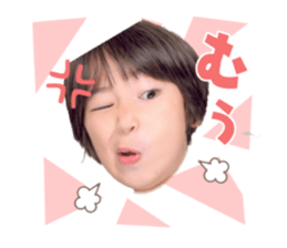 533408050