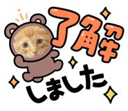 533410329