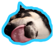 533421642