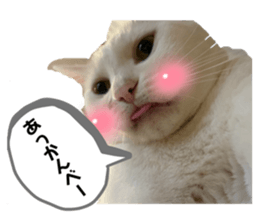 533424532