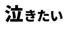 533431638