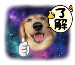 533439168