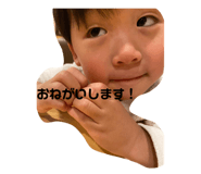 533444464