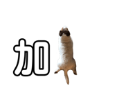 533449044
