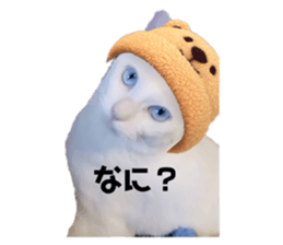 533450310