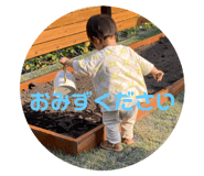 533450817