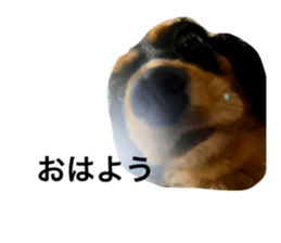 533455734