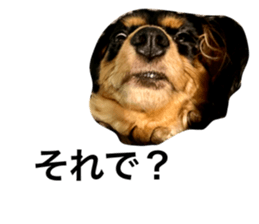 533455735