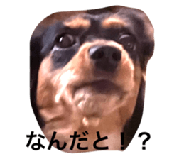 533455738