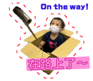 533463541