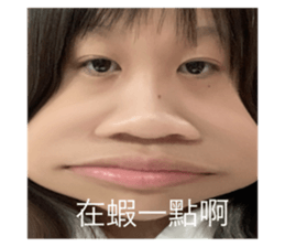 533478494