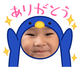 533511363