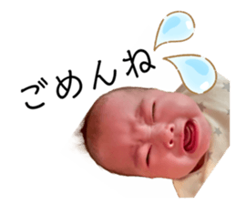 533538945