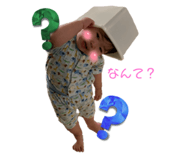 533540841