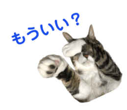 533553603