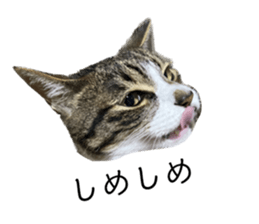 533553621