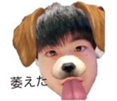 533636434