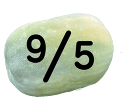 533640802