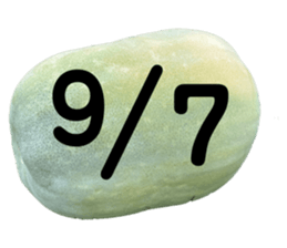 533640804