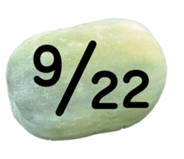 533640819