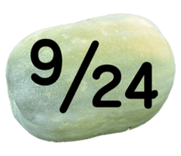 533640821