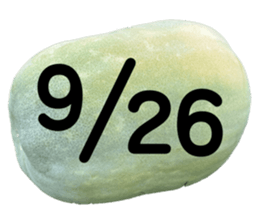 533640823