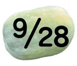 533640825