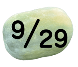 533640826