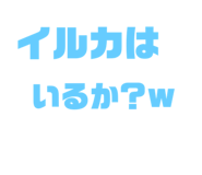 533646574