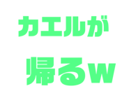 533646575