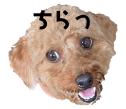 533649175