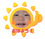533654502