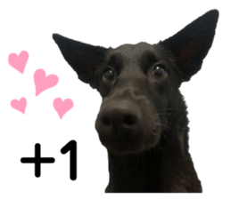 533658724