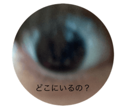 533661624