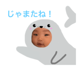 533663565