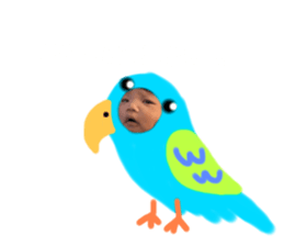 533663571