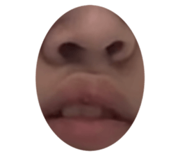 533675108