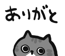 533679992
