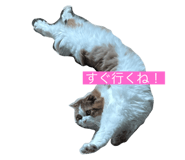 533750658