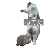 533750659