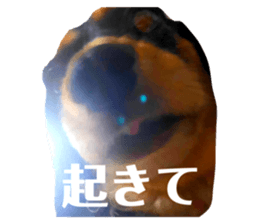 533752191