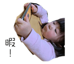 533800240
