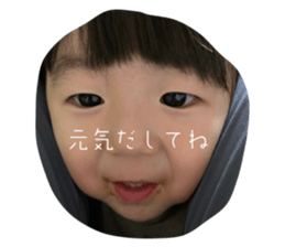 533800246