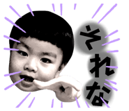 533808603