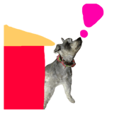 53385745