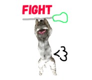 53385757