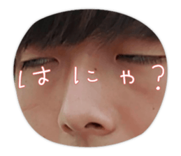 533884438