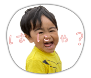 533907337