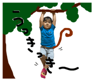 533907338