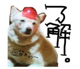 533914413